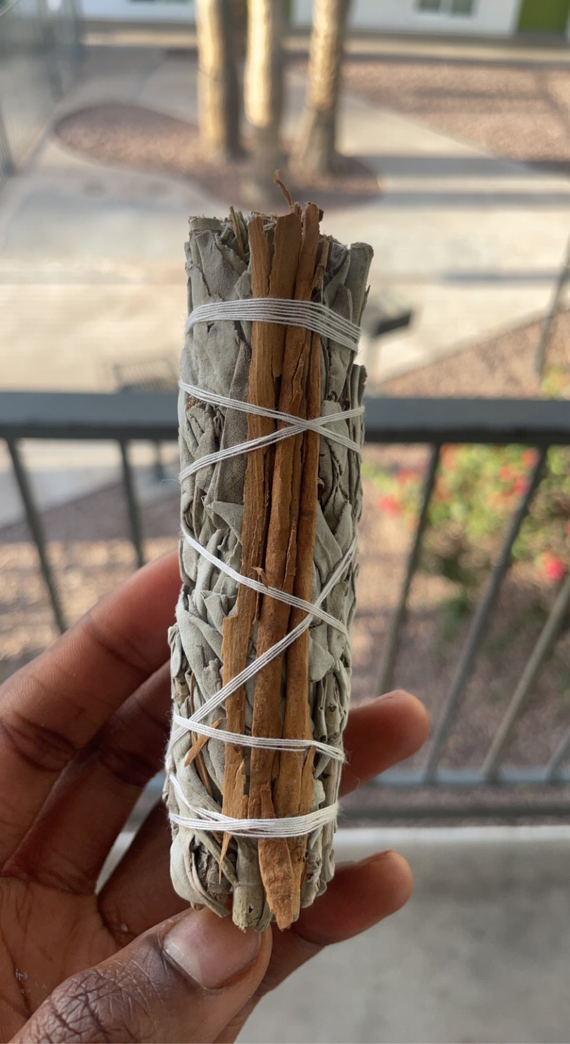 White Sage With Cinnamon Stick
